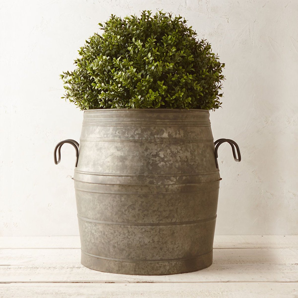 Талисмана Planters