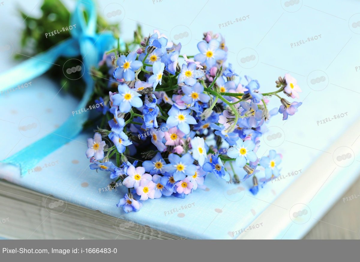 Незабудки в корзинке