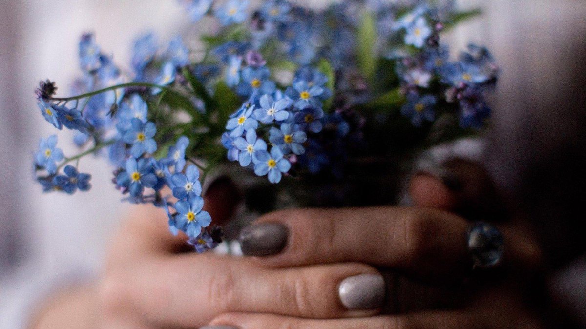 Фиалка букет незабудок