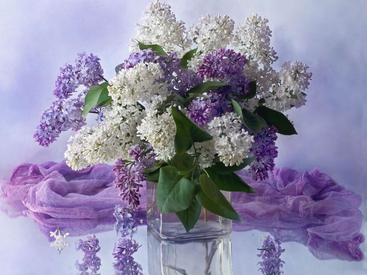 Алмазная мозаика Гранни сирень