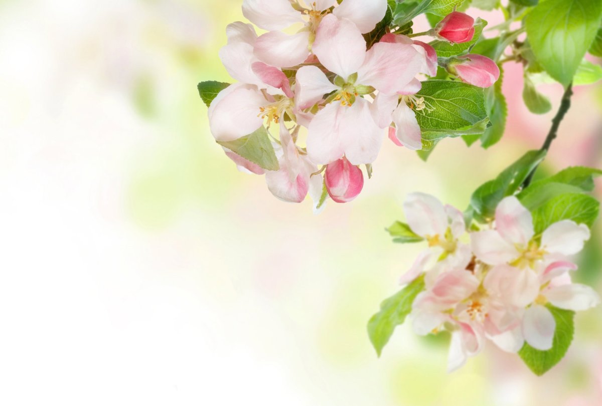 Hello May