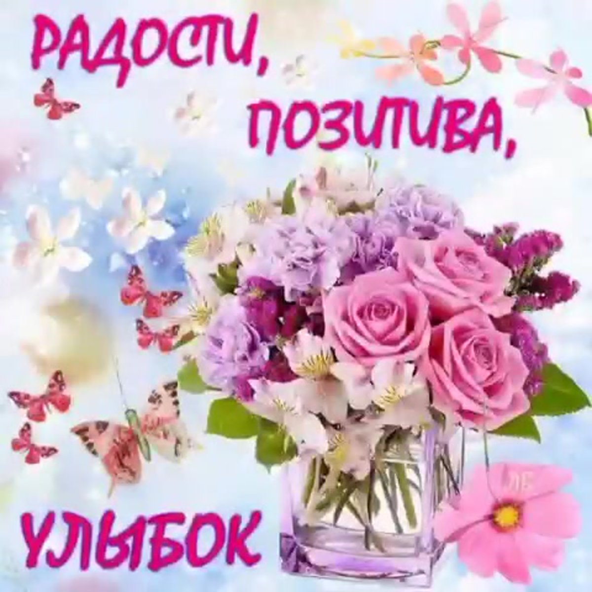 Яблони в цвету