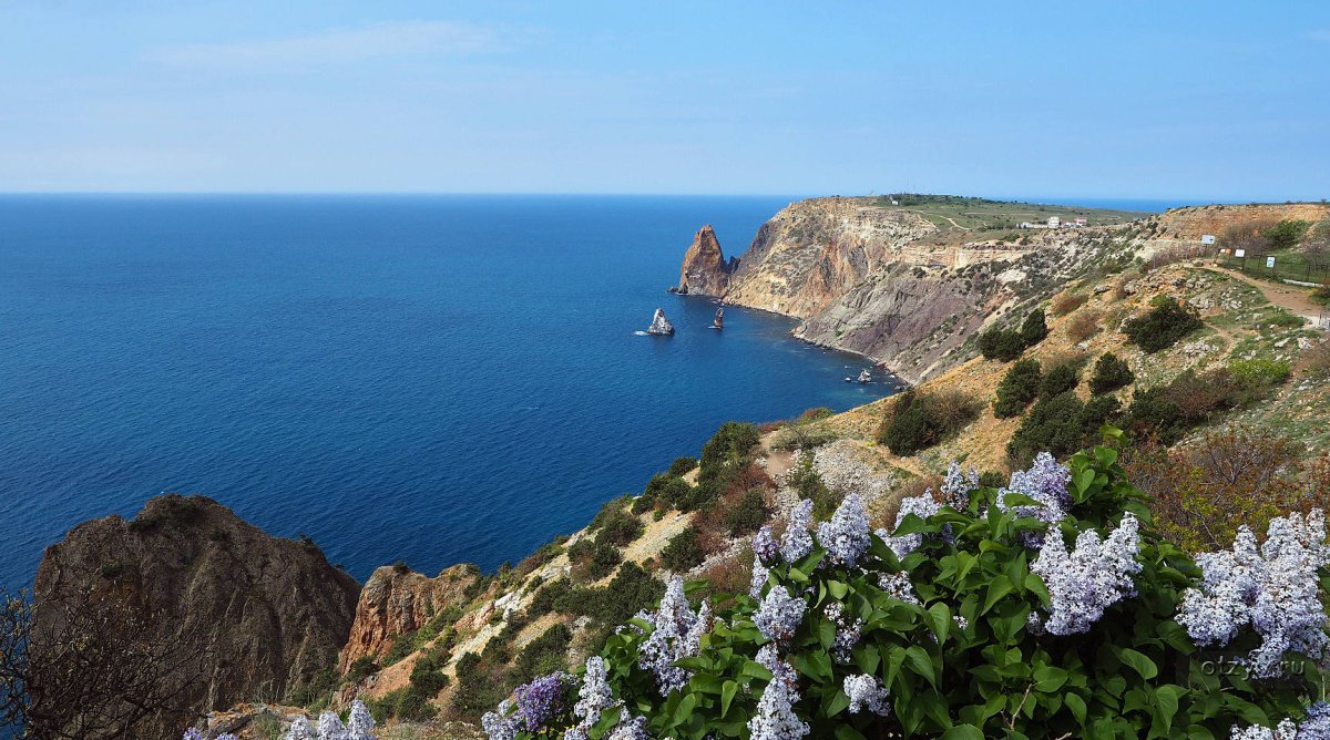 Море горы цветы