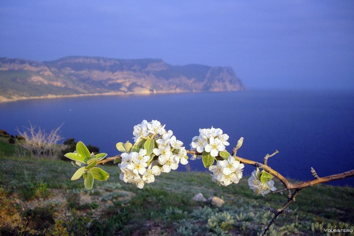 Мыс Фиолент в Крыму