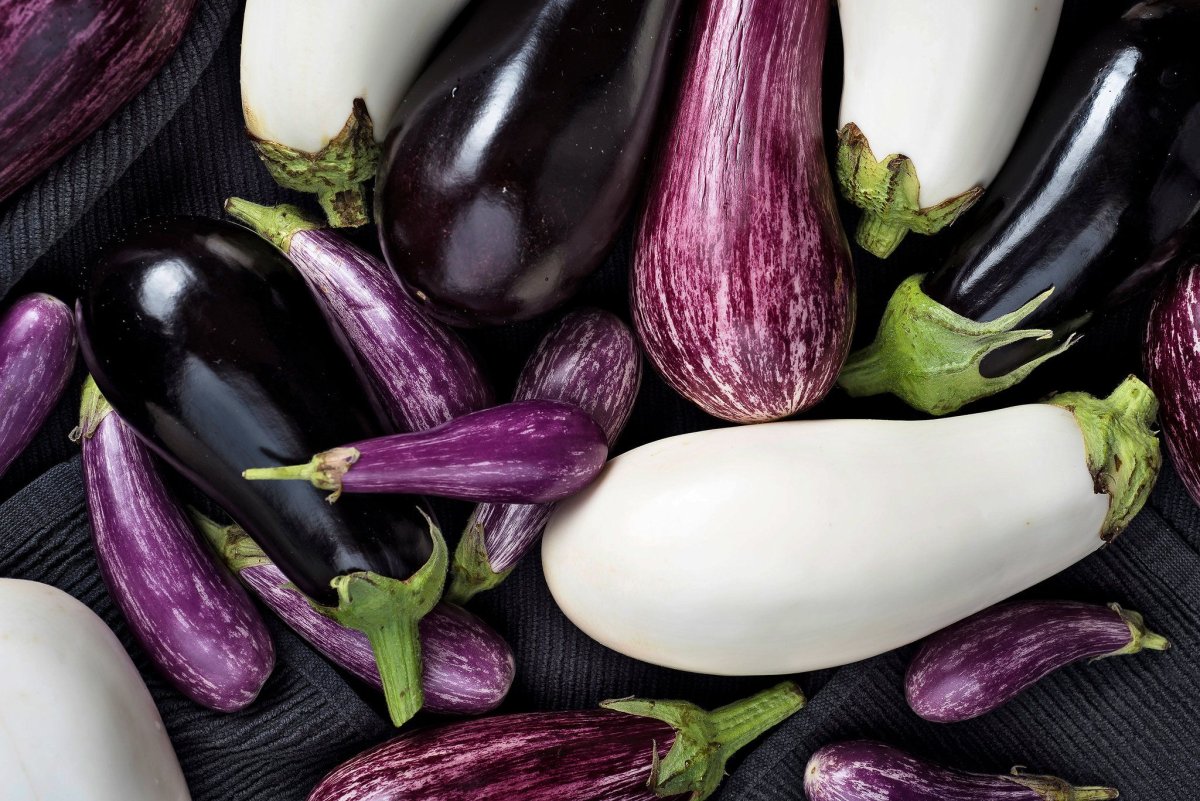 Eggplant Aubergine разница