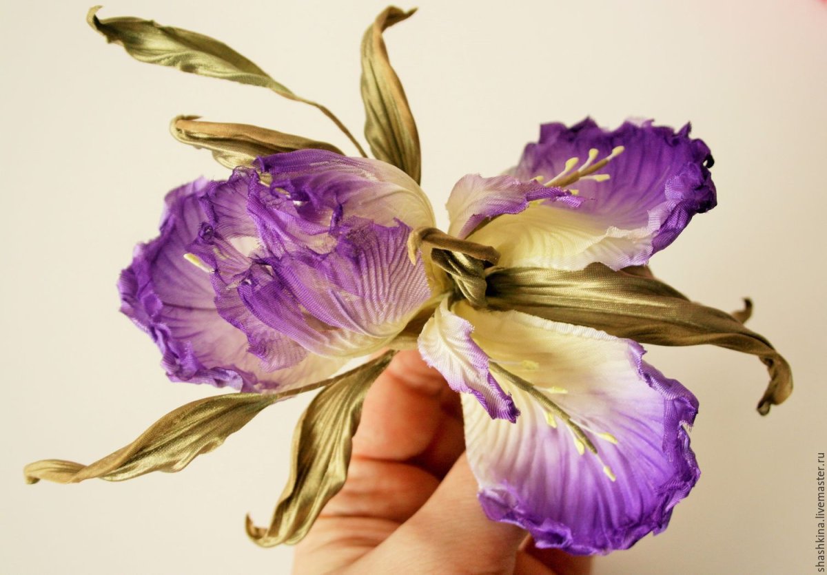 Ирис Organza