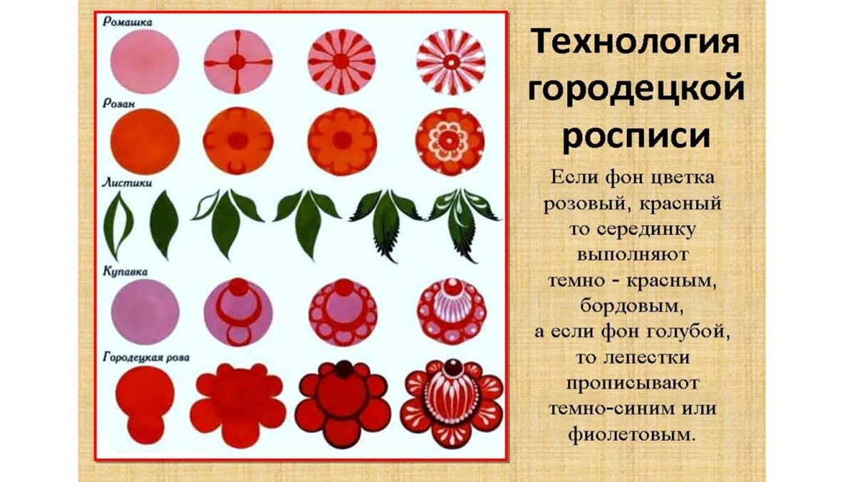 Купальница Болотная