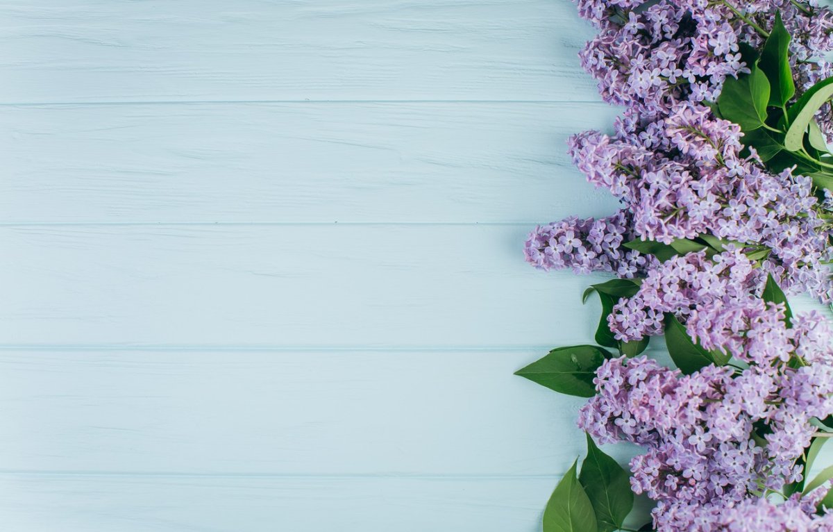 Hello Spring надпись