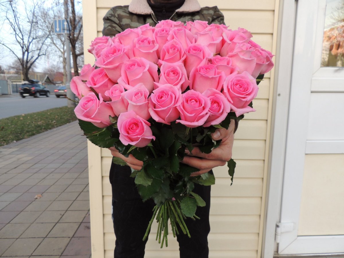 Роза Кордана на подоконнике