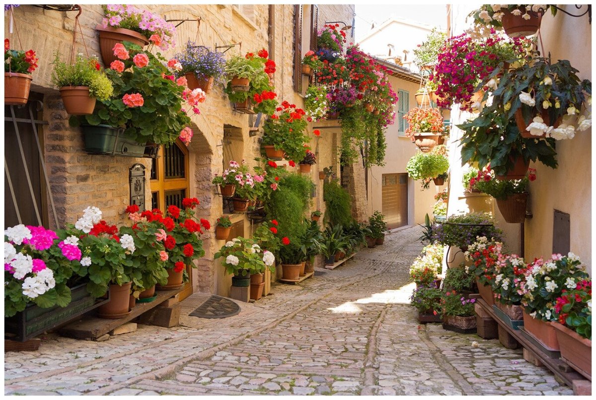 Сицилия цветы
