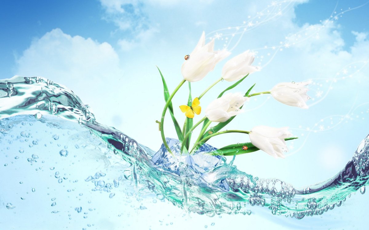 Цветы на фоне воды