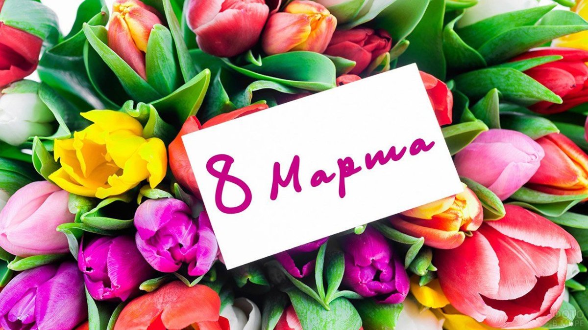 Красивые цветы на 8 марта