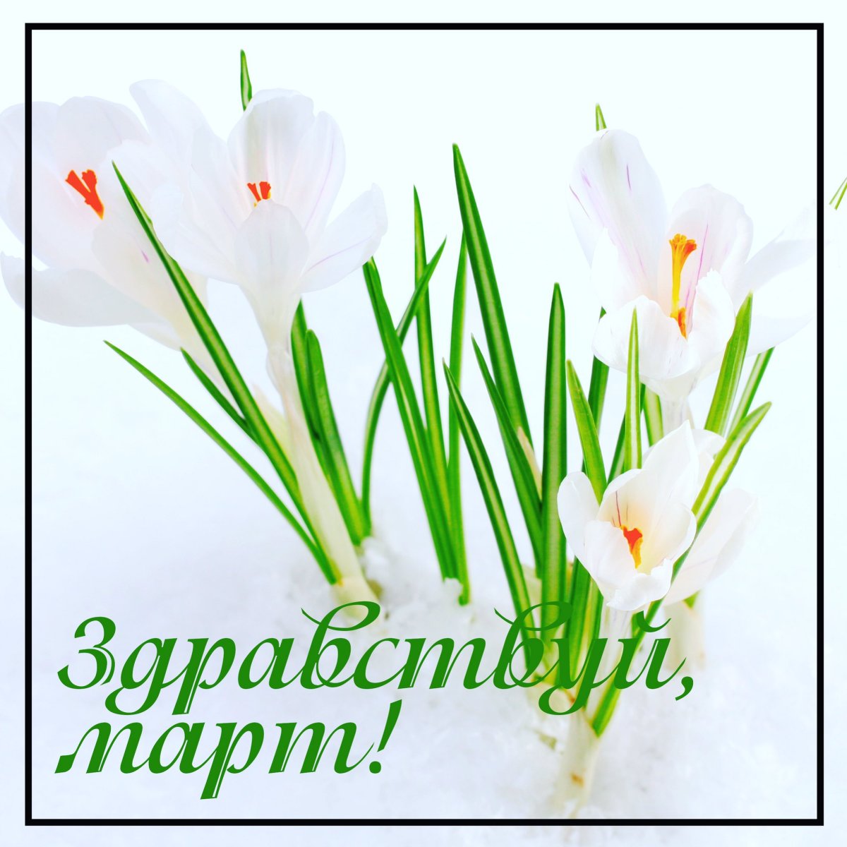 С первым днем весны