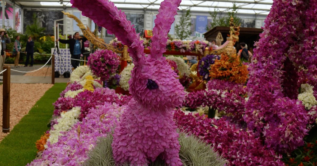 Фестиваль цветов Bloemencorso в Голландии
