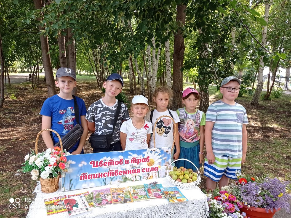 Фестиваль цветов