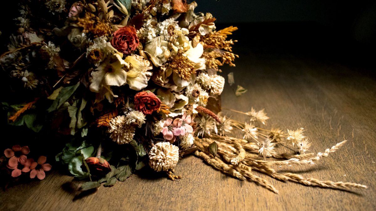 Dried Flowers сухоцветы