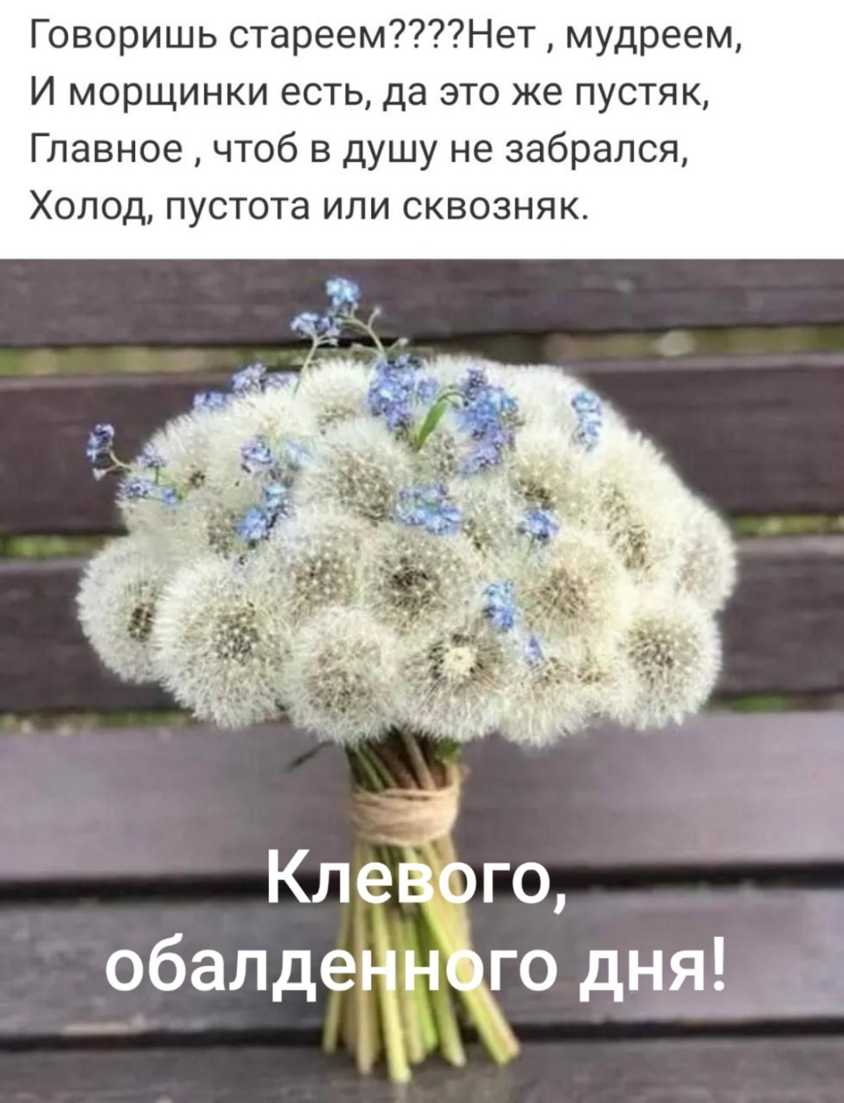 Букет из больших одуванчиков