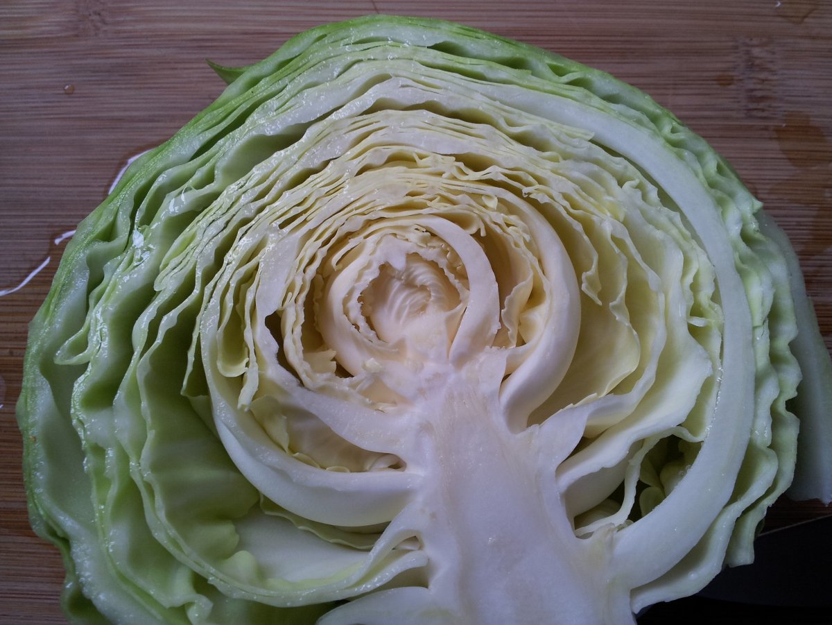 Капуста из фоамирана