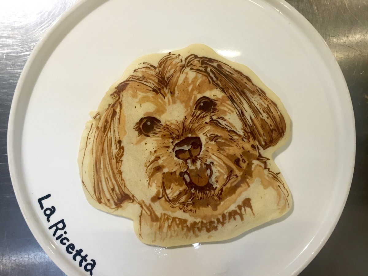 Животные с блинчиками