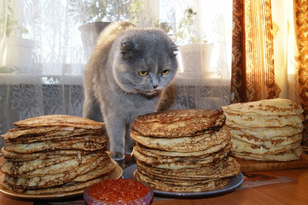Блинчики на завтрак