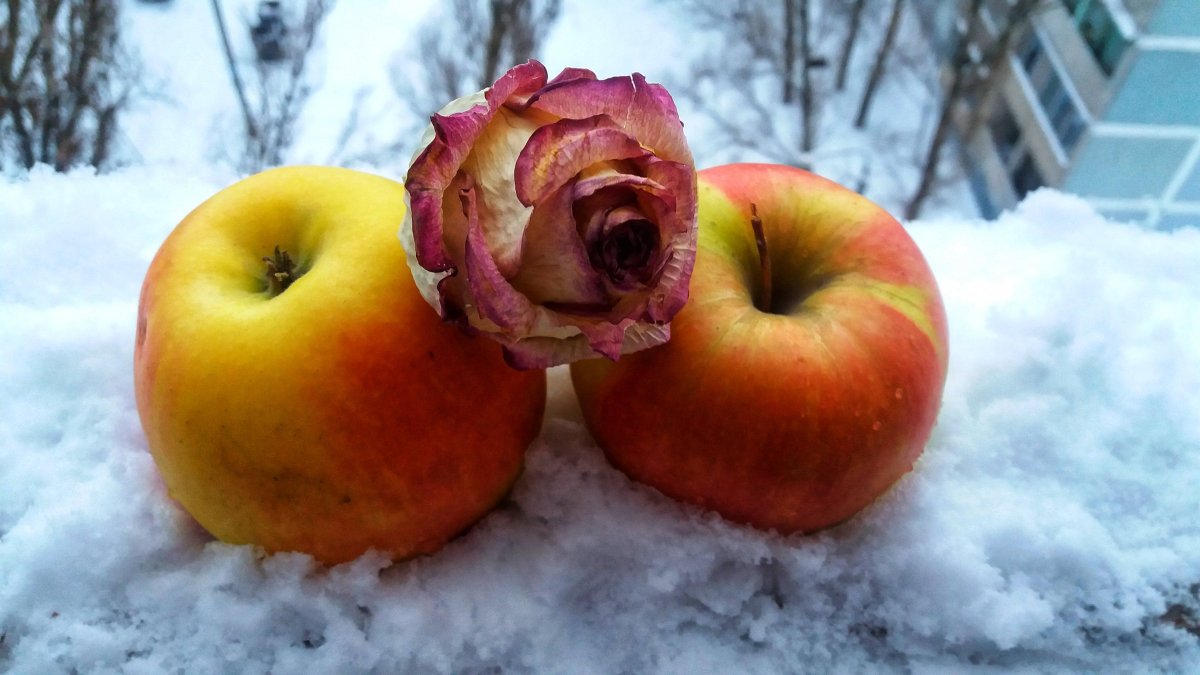 Шарлотка кусочек