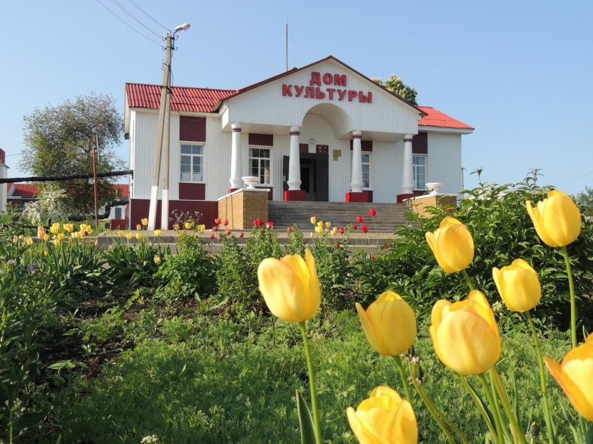 Юлия Косова Валуйки цветы