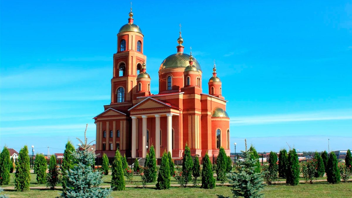 Пионовидная роза красная