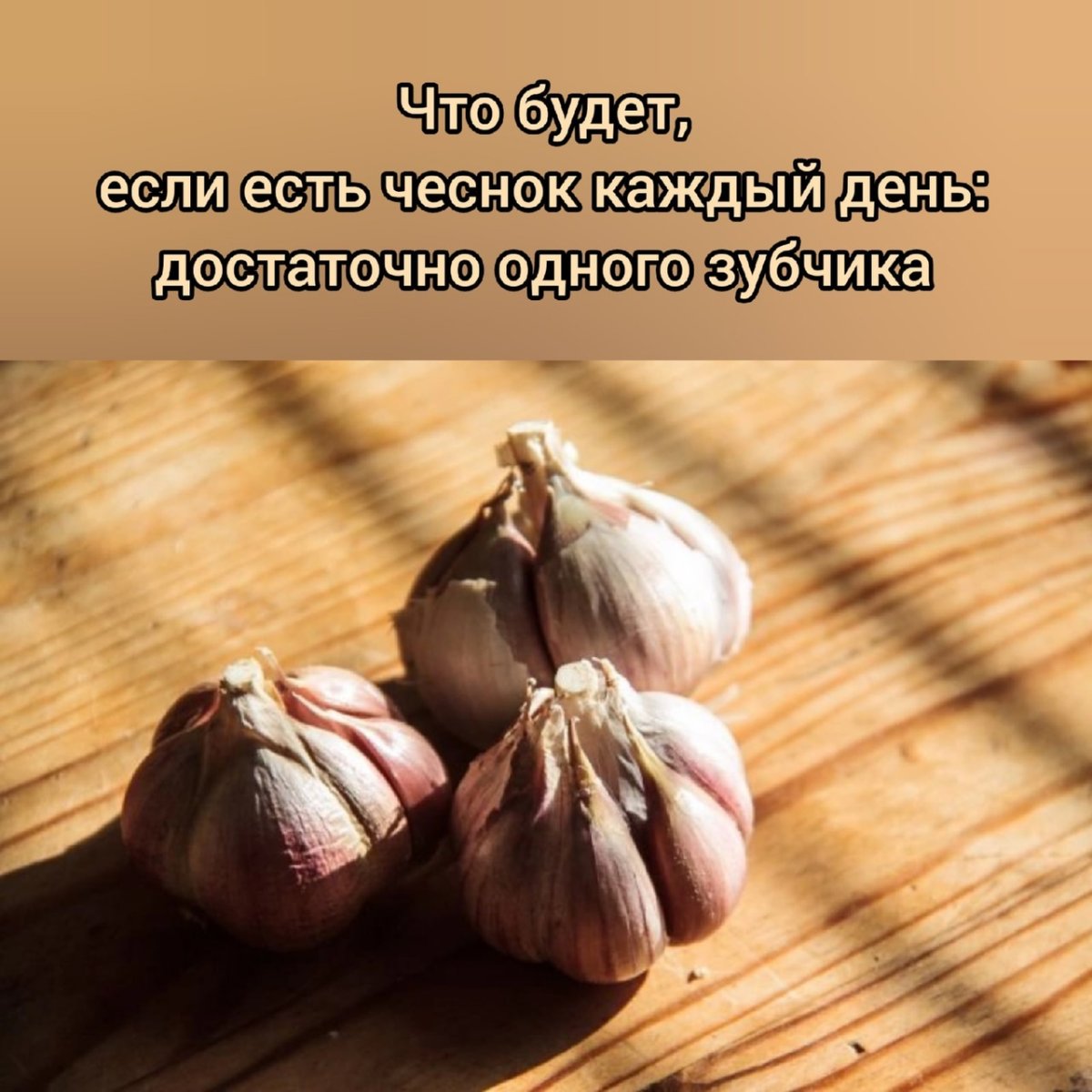Схема подкормок лука и чеснока