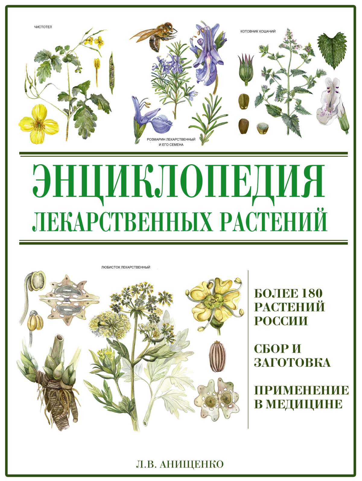 Ромашка аптечная сухая