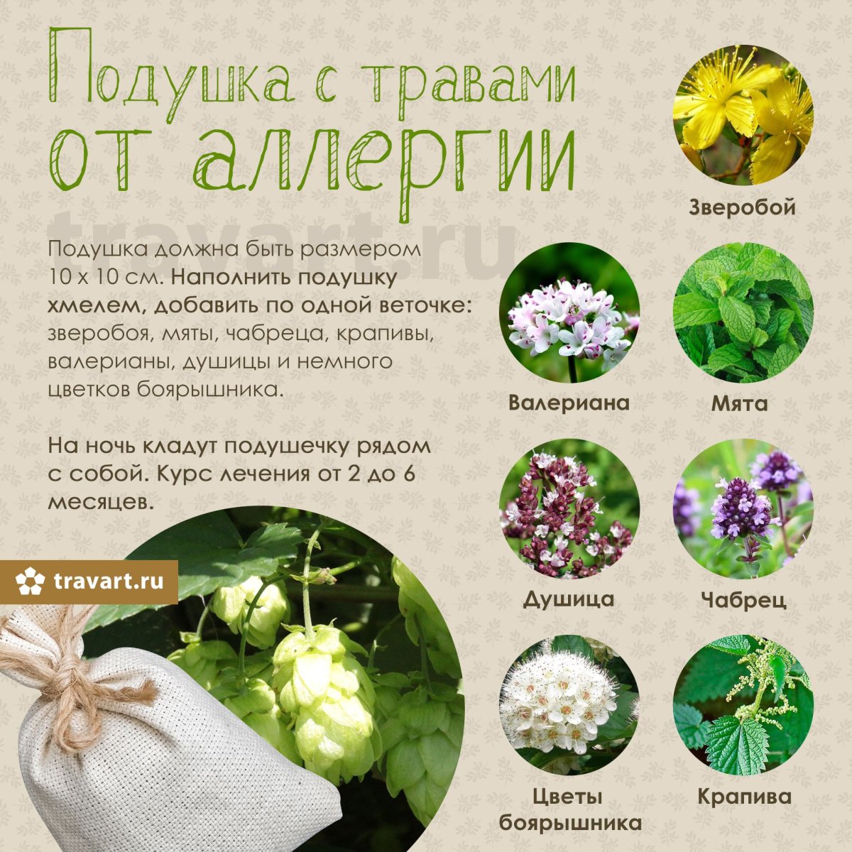 Отвар ромашки