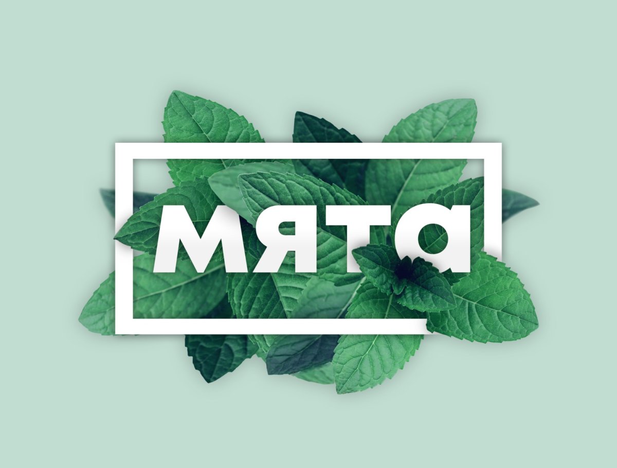 Обои на рабочий стол мята