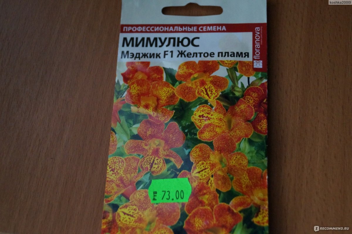 Мимулюс Менор дуал Роуз