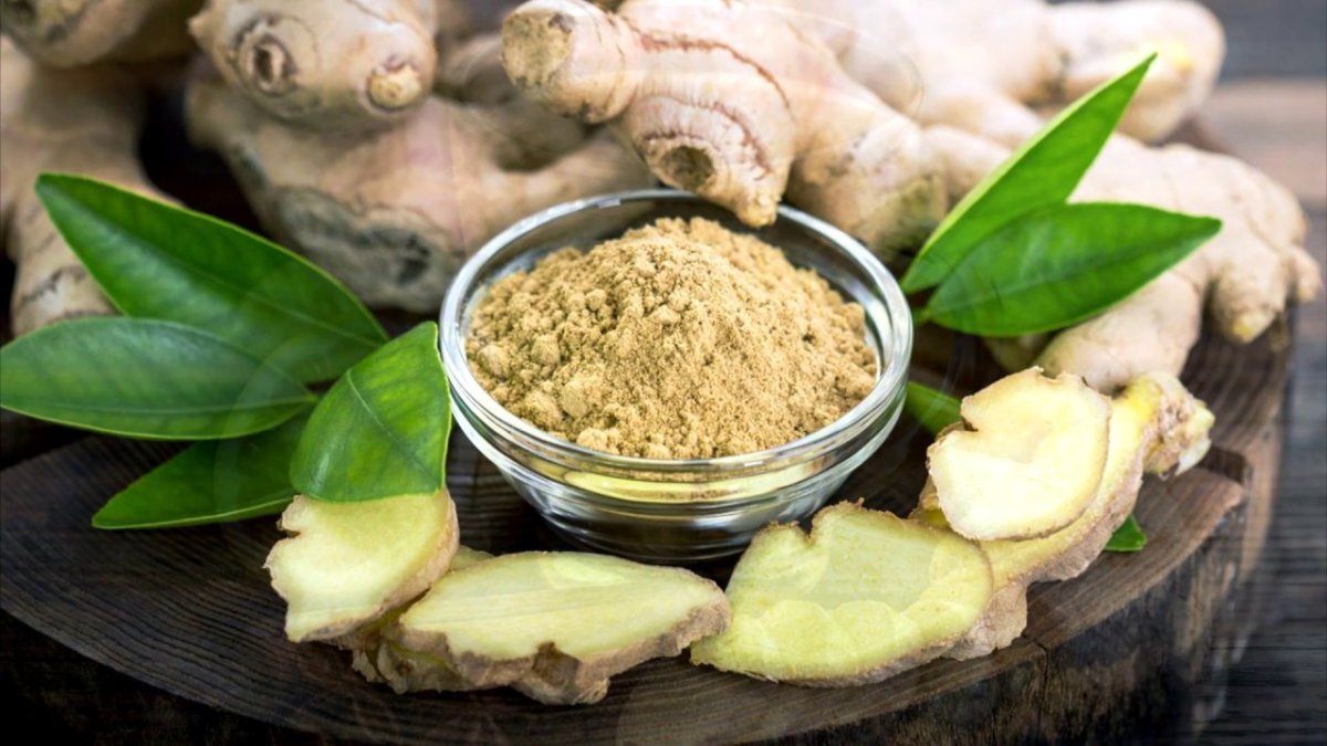 Zingiber officinale