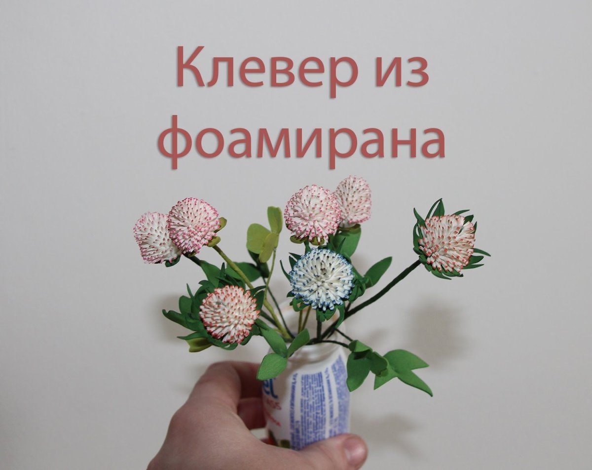 Клевер МК