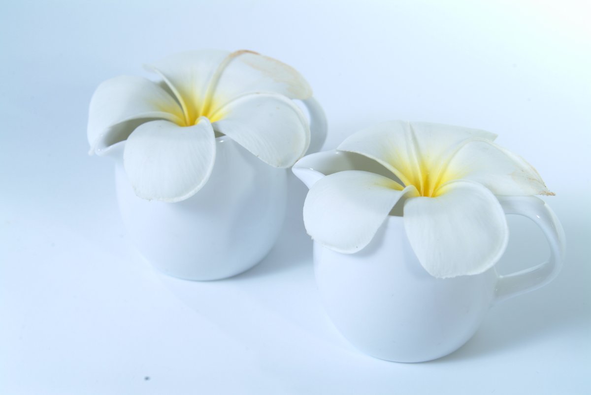 Flower information