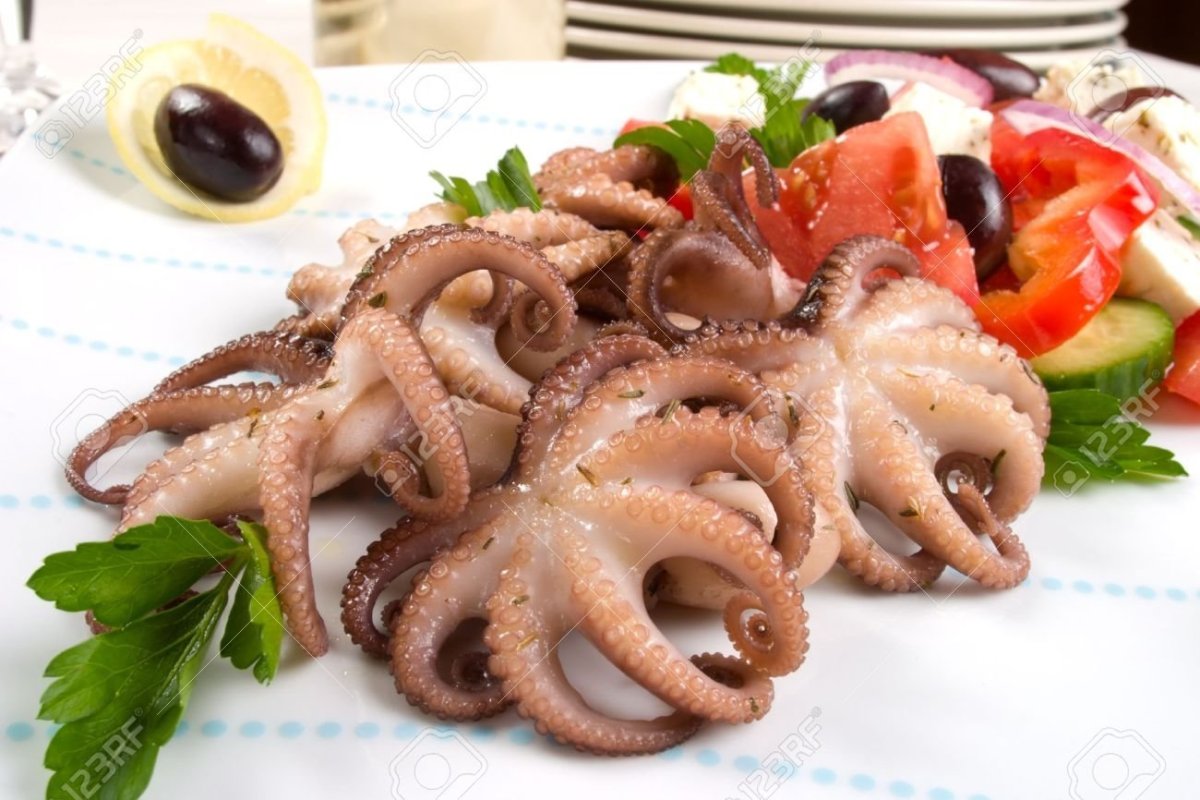 Осьминожки морепродукты