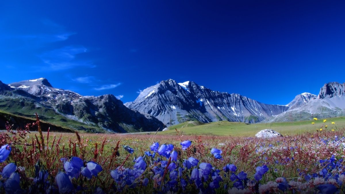 Альпийские Луга Тянь Шаня