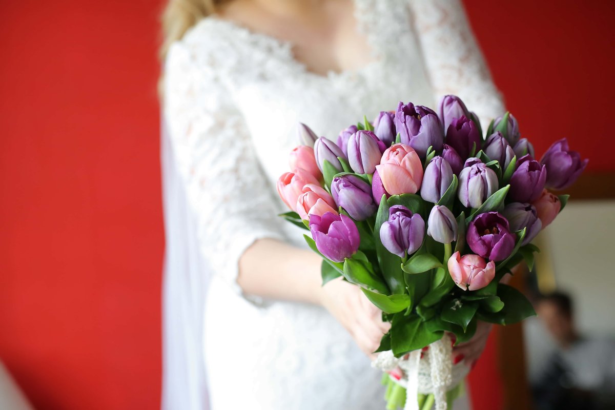 Tulipa Purple Bouquet