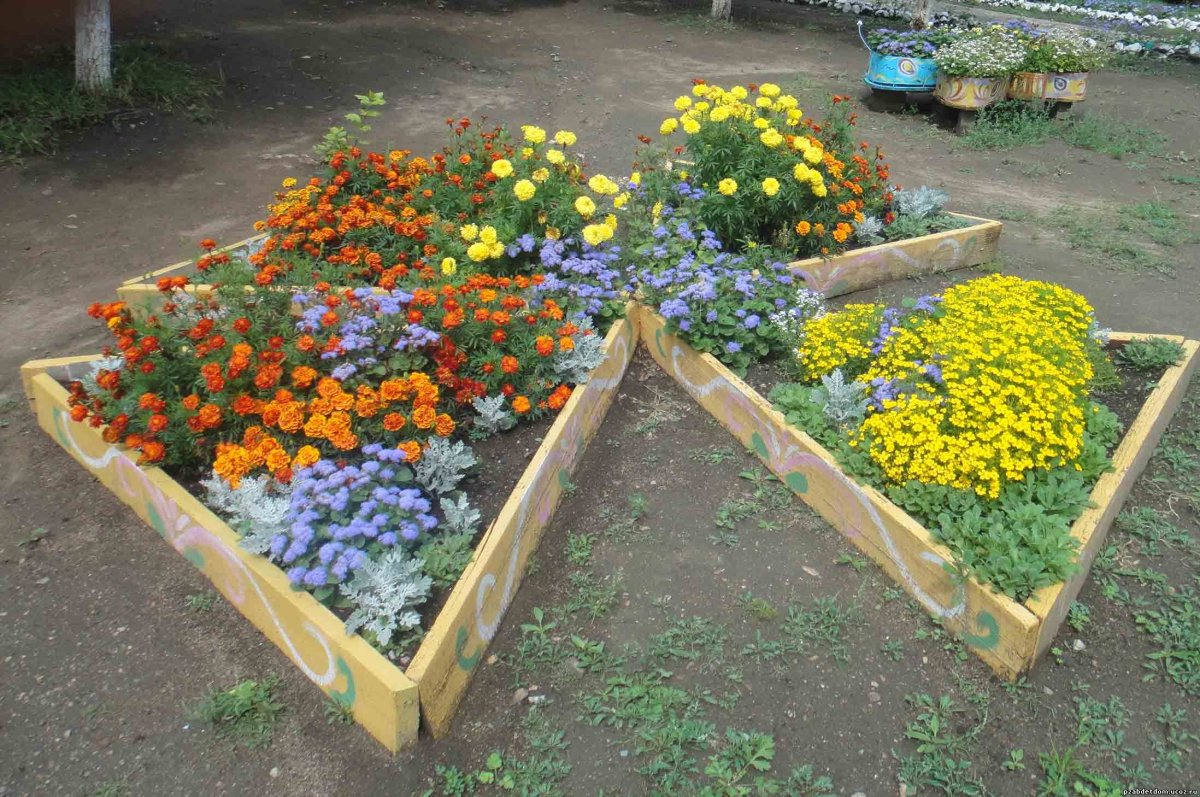 Высокие клумбы