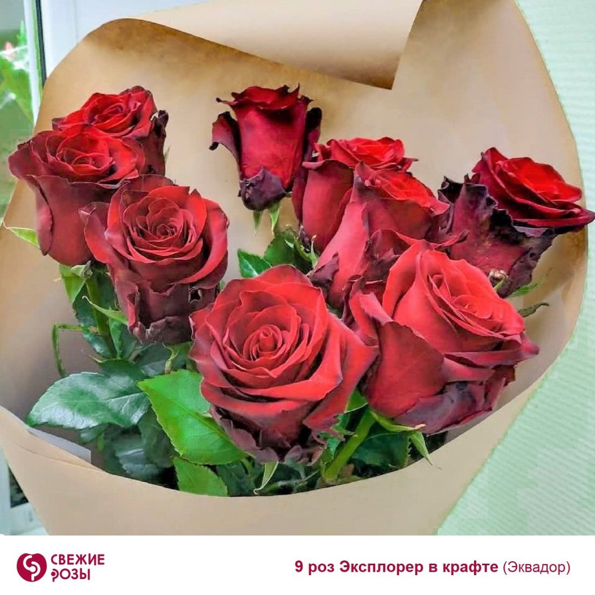 Роза Эквадор 60 см