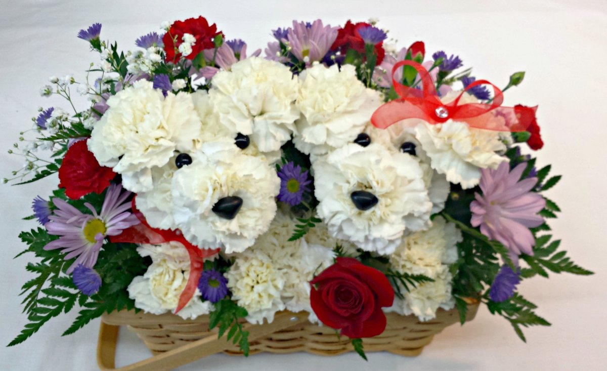 Flower Bouquets cheap