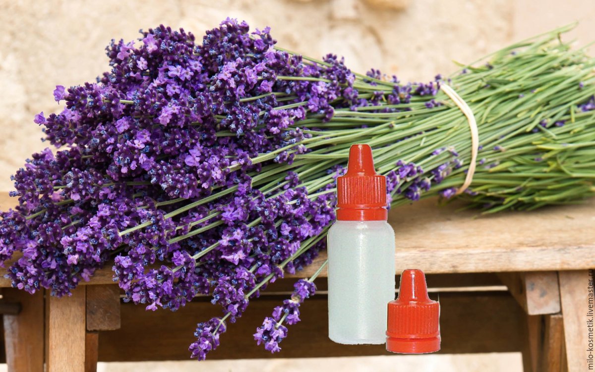 Aroma collection for your Home