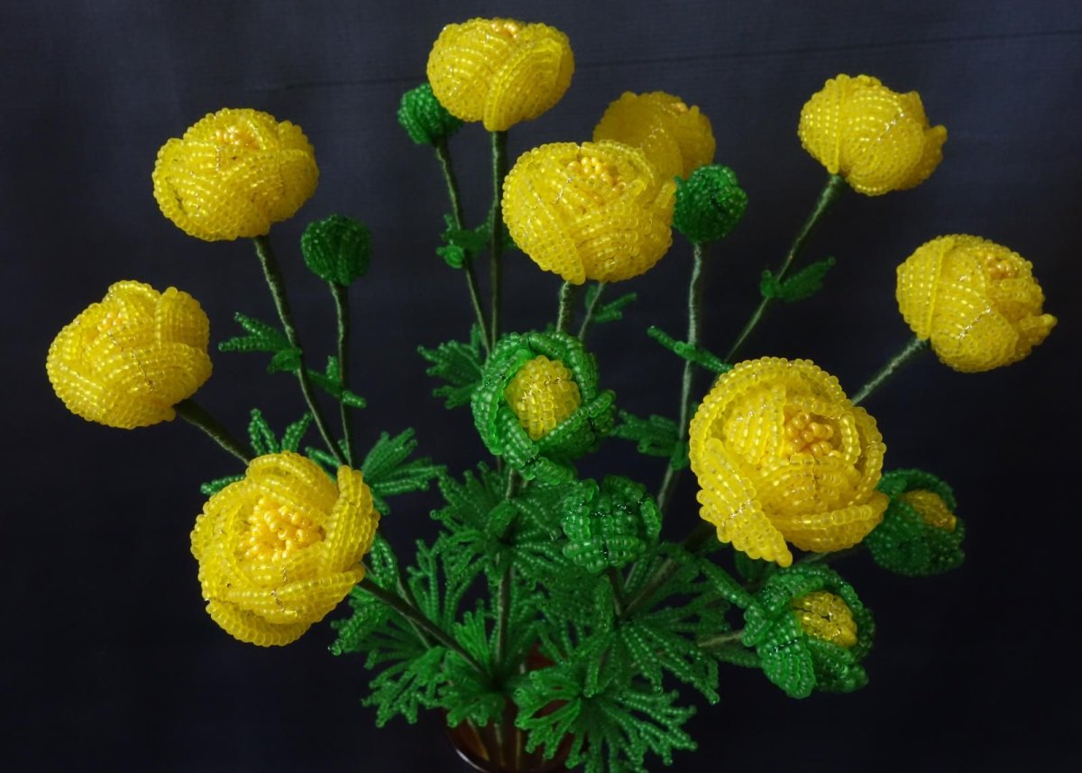 Купальница Уральская