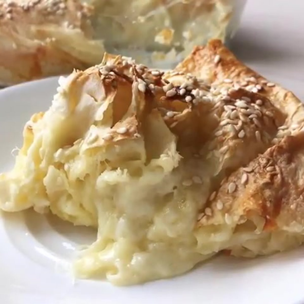 Ачма Грузинская ленивая