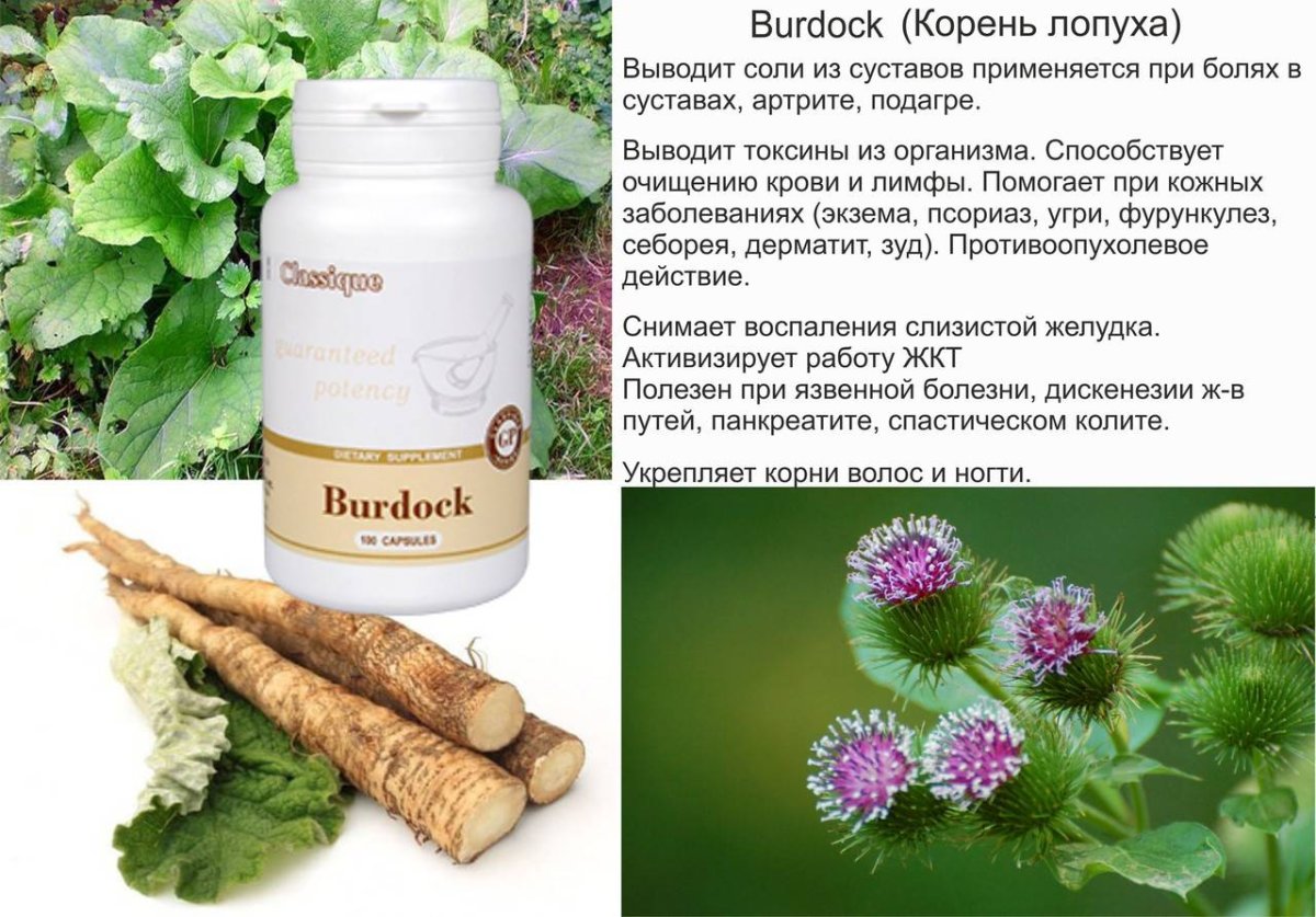 Экстракт корня лопуха для суставов