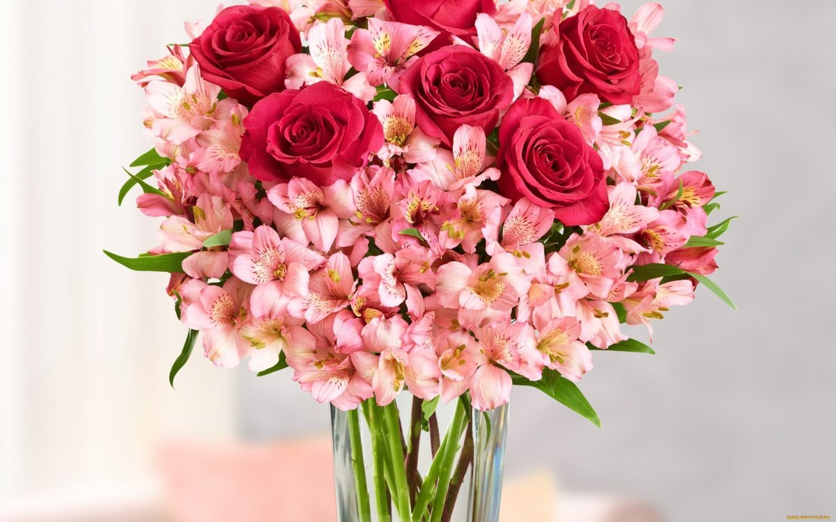 Цветы розы Alstroemeria
