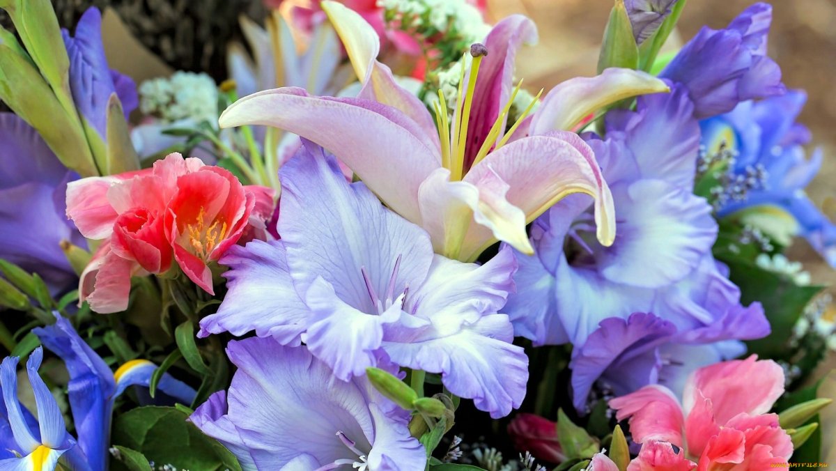 Самые популярные цветы для букетов