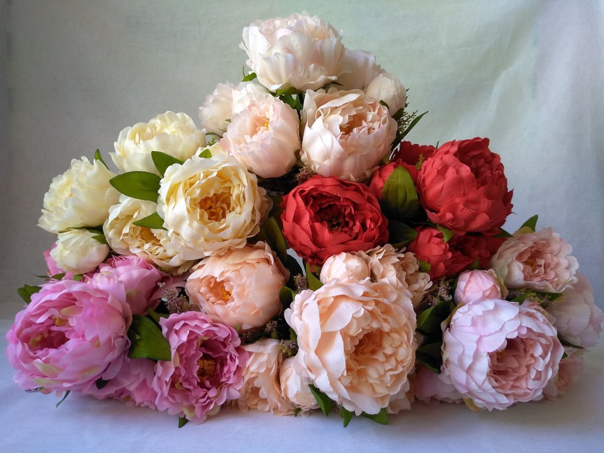 Пион Bouquet perfect