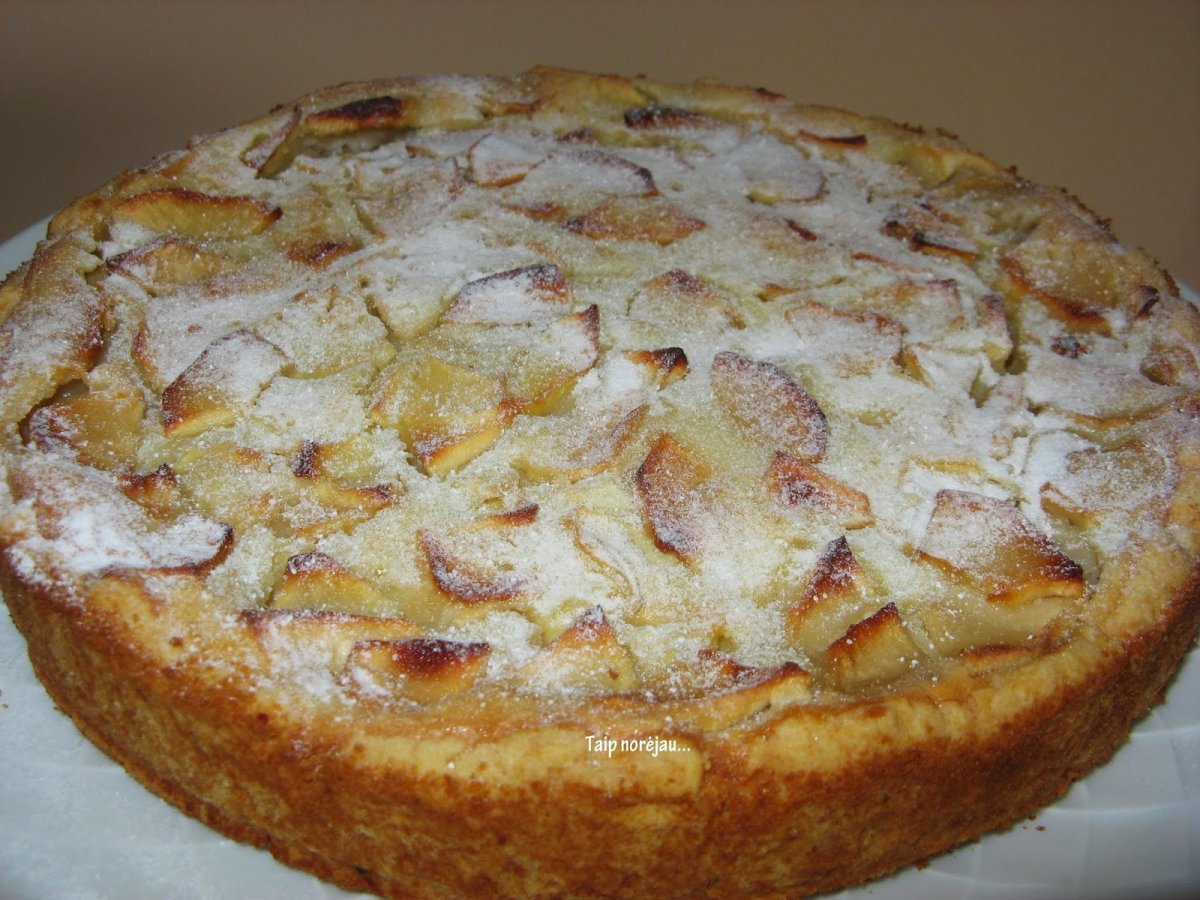 Шарлотка домашняя