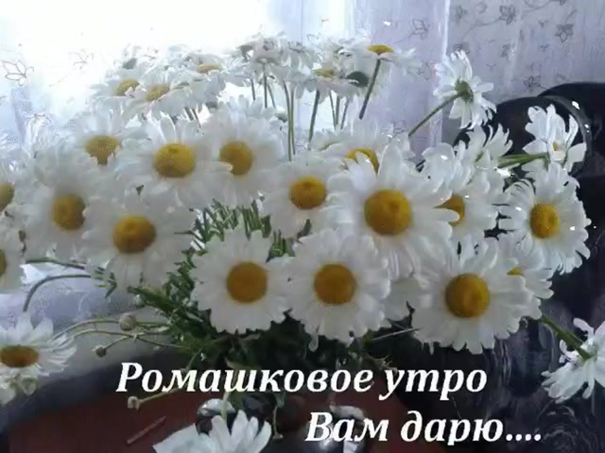 Букет «танацетум»